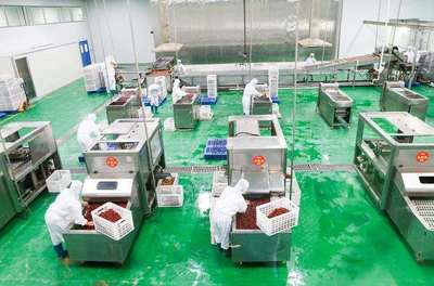 浙江名企“百草味”新疆工廠投產(chǎn)，助推新疆食品產(chǎn)業(yè)升級(jí)與區(qū)域協(xié)同發(fā)展